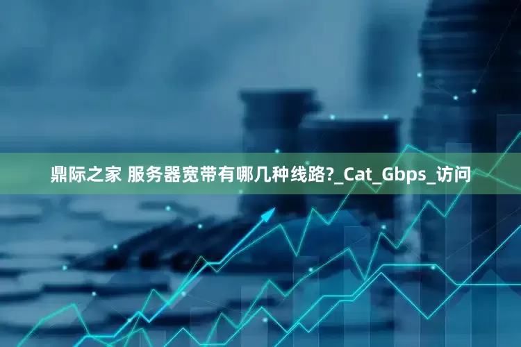 鼎际之家 服务器宽带有哪几种线路?_Cat_Gbps_访问