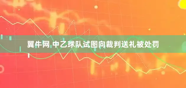 翼牛网 中乙球队试图向裁判送礼被处罚