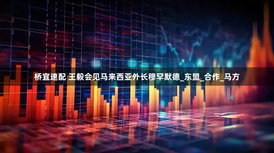 桥宜速配 王毅会见马来西亚外长穆罕默德_东盟_合作_马方