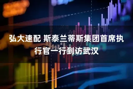 弘大速配 斯泰兰蒂斯集团首席执行官一行到访武汉