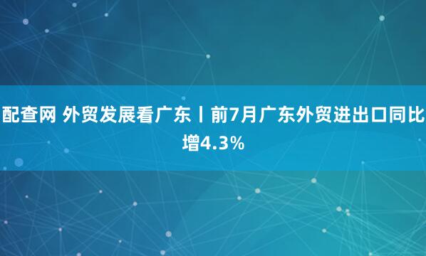 配查网 外贸发展看广东丨前7月广东外贸进出口同比增4.3%