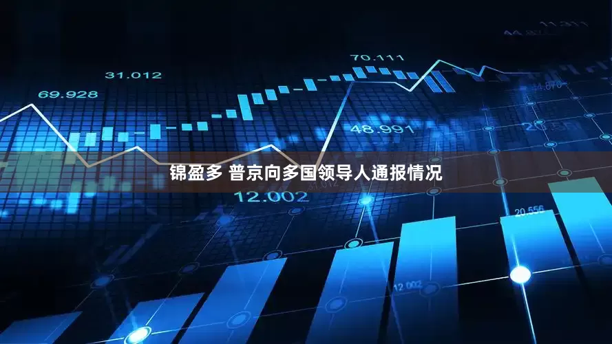 锦盈多 普京向多国领导人通报情况