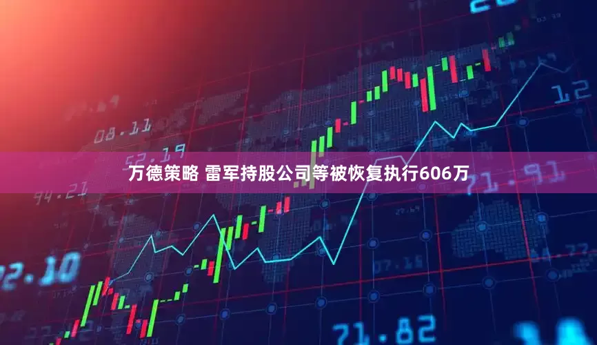 万德策略 雷军持股公司等被恢复执行606万