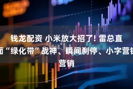 钱龙配资 小米放大招了! 雷总直面“绿化带”战神、瞬间刹停、小字营销