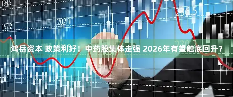 鸿岳资本 政策利好！中药股集体走强 2026年有望触底回升？